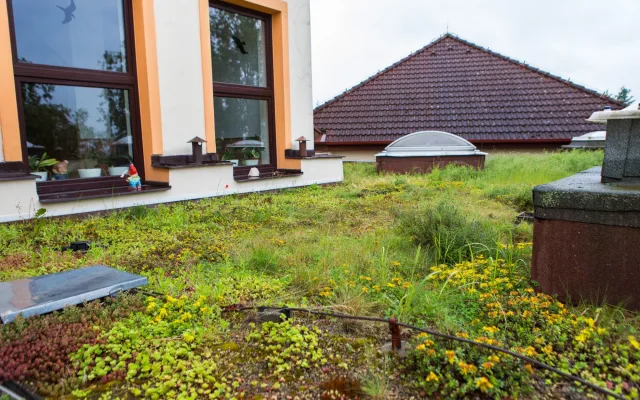 Majitelé domů mohou ušetřit za investici do zelených střech, přispěje jim město