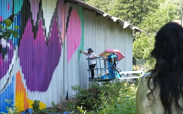 Festival WALLZ rozzářil ulice města, malby ozdobily budovy i vozovku