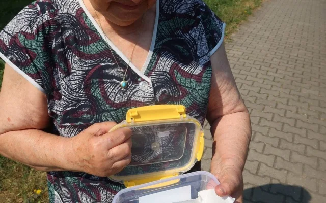 Záchranná stanice přijímala desítky zvířecích pacientů