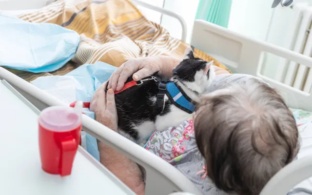 Léčba pejskem a kočičkou, huňaté terapeuty pacienti s nadšením vyhlížejí