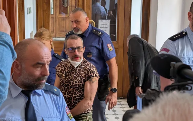 Vrchní soud potvrdil předání extremistky Liebichové do Německa