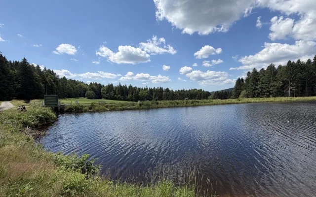 Jen pár kilometrů za hranicemi najdete divokou a romantickou šumavskou soutěsku