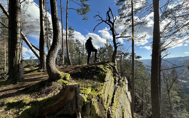 Šumava - ilustrační foto
