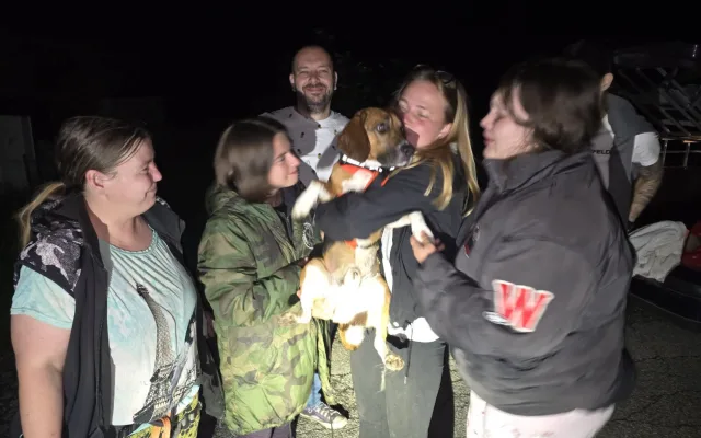 V adopci byl laboratorní bígl pár dní, pak se ztratil. Rozjela se velká pátrací akce