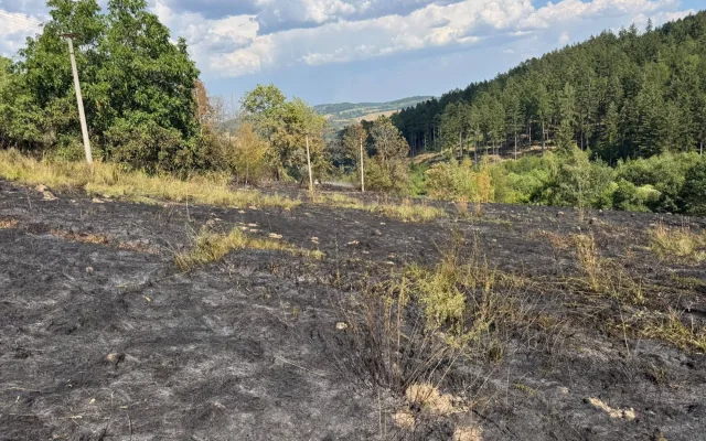 Hasiči v úmorném vedru bojují s požárem lesa na Šumavě, oheň odřízl část hasičů