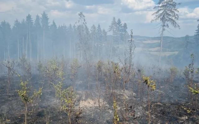 Hasiči v úmorném vedru bojují s požárem lesa na Šumavě, oheň odřízl část hasičů