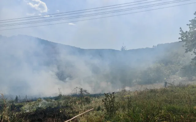 Výstraha před požáry stále platí, přesto lidé v lese stále rozdělávají oheň