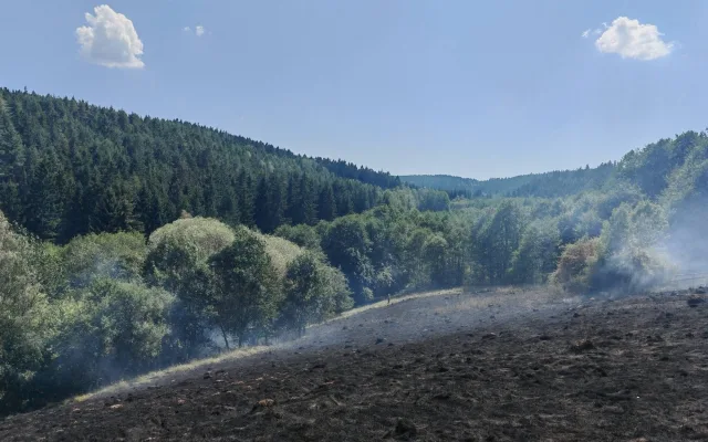 Výstraha před požáry stále platí, přesto lidé v lese stále rozdělávají oheň