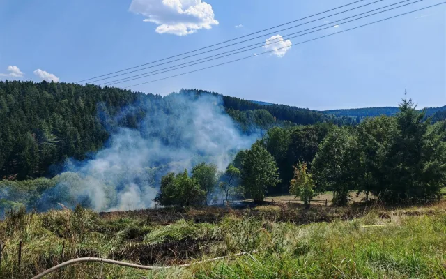 Výstraha před požáry stále platí, přesto lidé v lese stále rozdělávají oheň