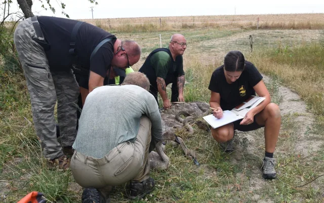 Evidence při kroužkování