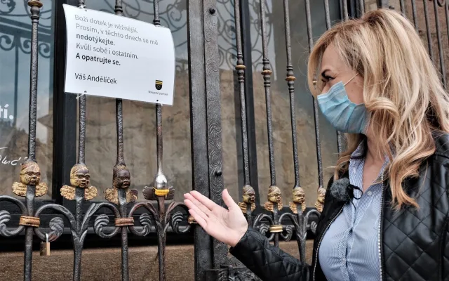 FOTOGALERIE: Přeštická prasátka mají roušky na ochranu před koronavirem