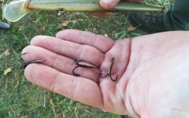 FOTOGALERIE: Labutě zraňují rybářské háčky a vlasce
