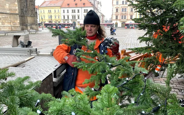 FOTOGALERIE: Zdobení vánočního stromu