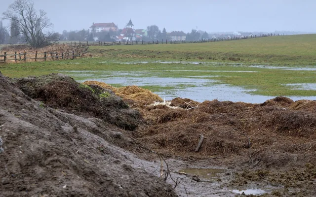 FOTOGALERIE: Otrava orlů mořských