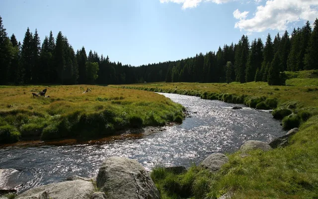 FOTOGALERIE: NP Šumava