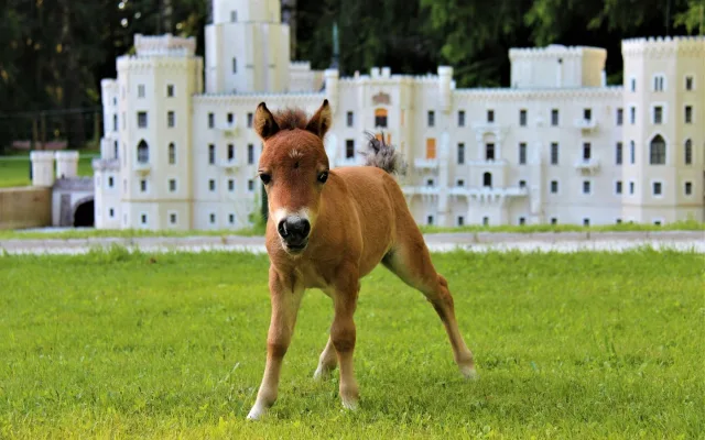 FOTOGALERIE: Miniaturpark Boheminium