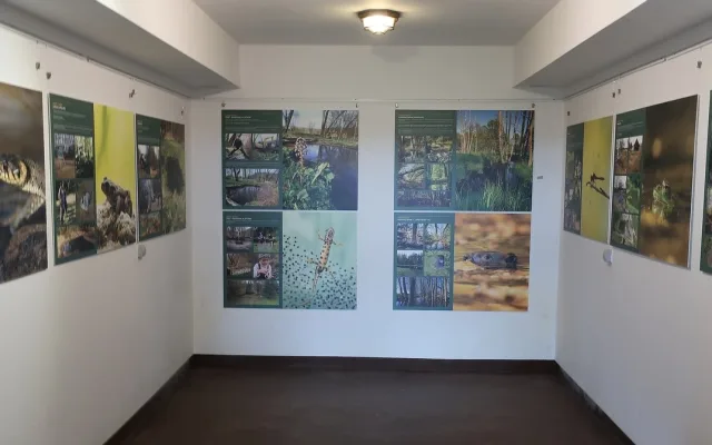 FOTOGALERIE: Vernisáž výstavy Ondrovy mokřady