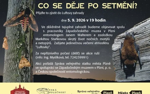 Co se děje po setmění?