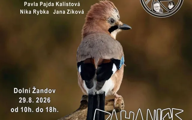 Fotografická výstava: Divočina