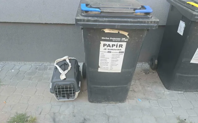 Tři koťátka někdo v úmorném vedru zavřel do přepravky a odhodil k popelnicím