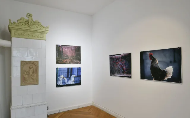 Výstava Zvířata promění pohled na přírodu i svět kolem nás