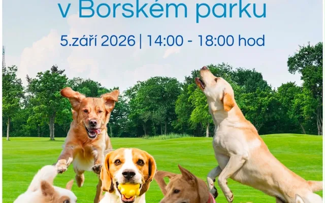 Psí den v Borském parku