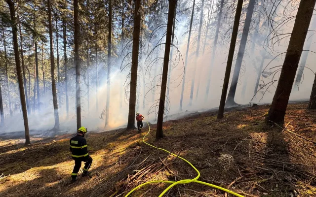 Hasiči bojují s velkým požárem lesa a pole. Zasahuje obrovské množství techniky