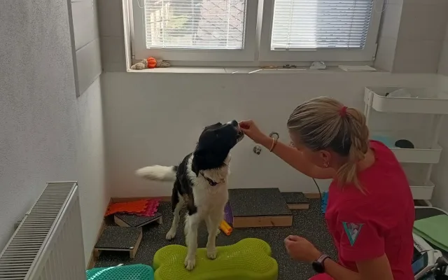 Aktuálně chodí Míša i na rehabilitace, které mu velmi pomáhají