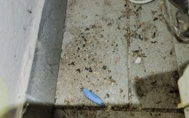 Inspekce uzavřela oblíbený hostinec, všude byl nepořádek, myší bobky a plísně