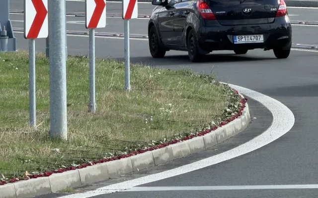Stovky rudých růží obkroužily obří kruháč na památku čtyř obětí havárie vrtulníku