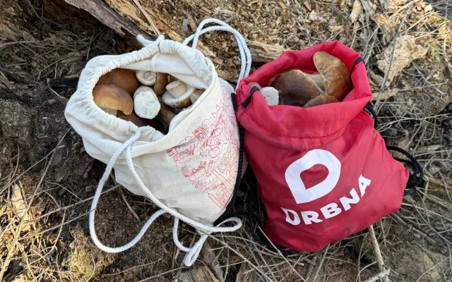Do lesa jsme vyrazili stylově v barvách Drbny