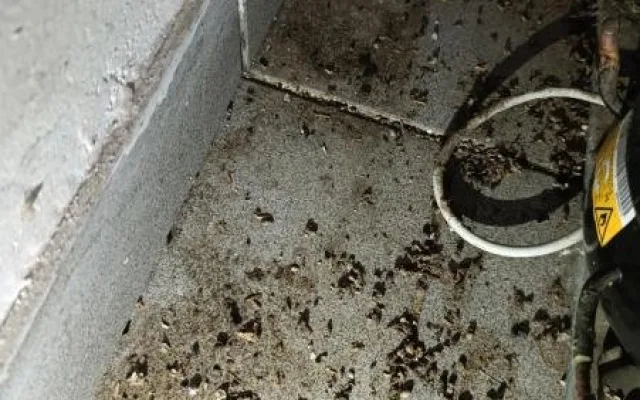 Inspekce uzavřela oblíbený hostinec, všude byl nepořádek, myší bobky a plísně