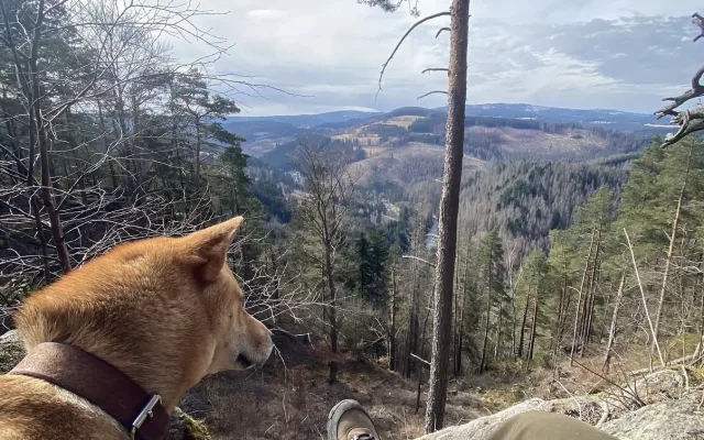 Hajná ze Šumavy pracuje v divočině, má vlastní módní značku a napsala knihu
