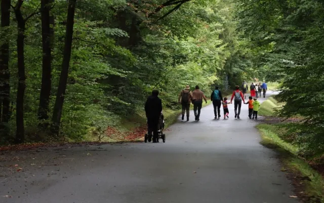 Populární Brdské stromsázení bude letos ve znamení vody, lesa i tradic