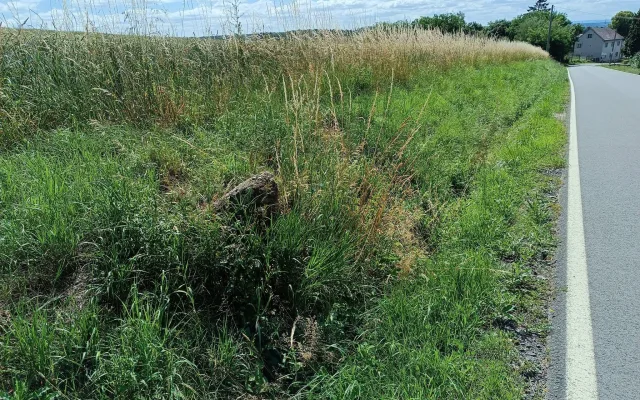 Původní místo v silničním příkopu