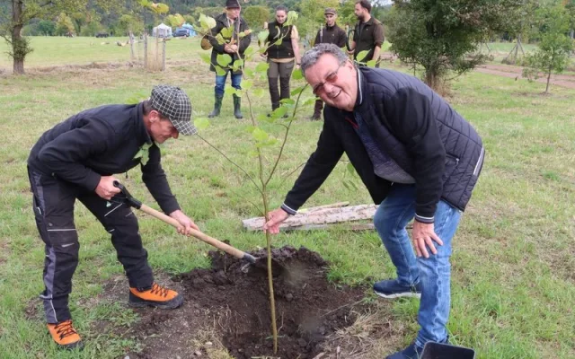 Populární Brdské stromsázení bude letos ve znamení vody, lesa i tradic