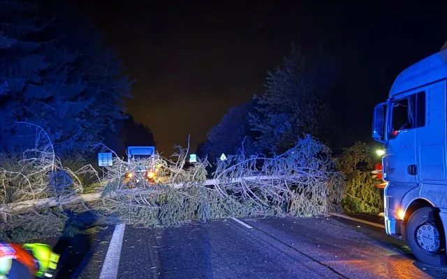 Tento strom likvidovali hasiči u Únětic na Blovicku