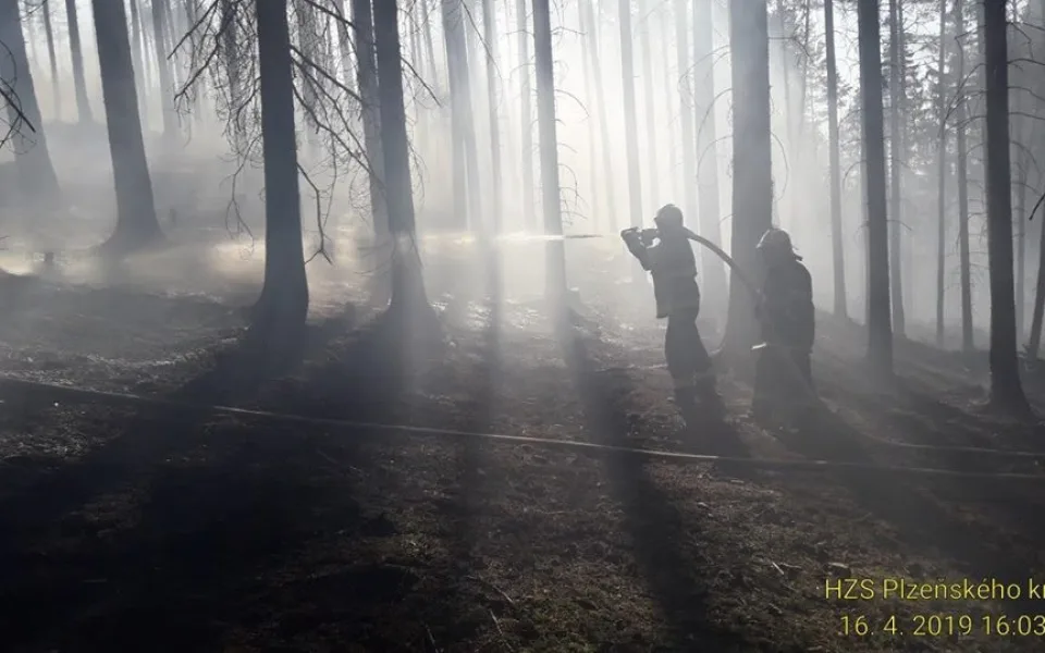 Hasiči zůstavají u lesa, který začal u Plzně hořet v pondělí.