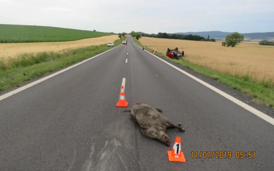 Kanec způsobil stotisícovou škodu. Na Plzeňsku zapříčinil střet dvou aut.