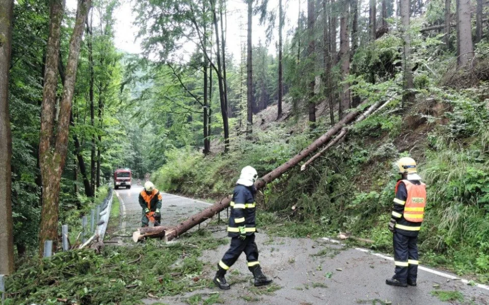 ilustrační foto.