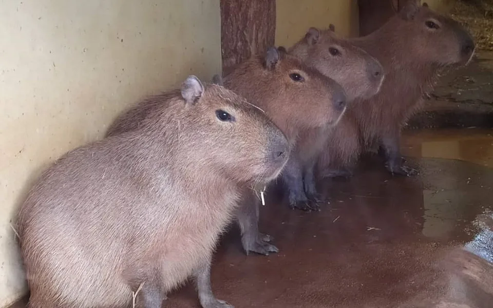 ilustrační foto.