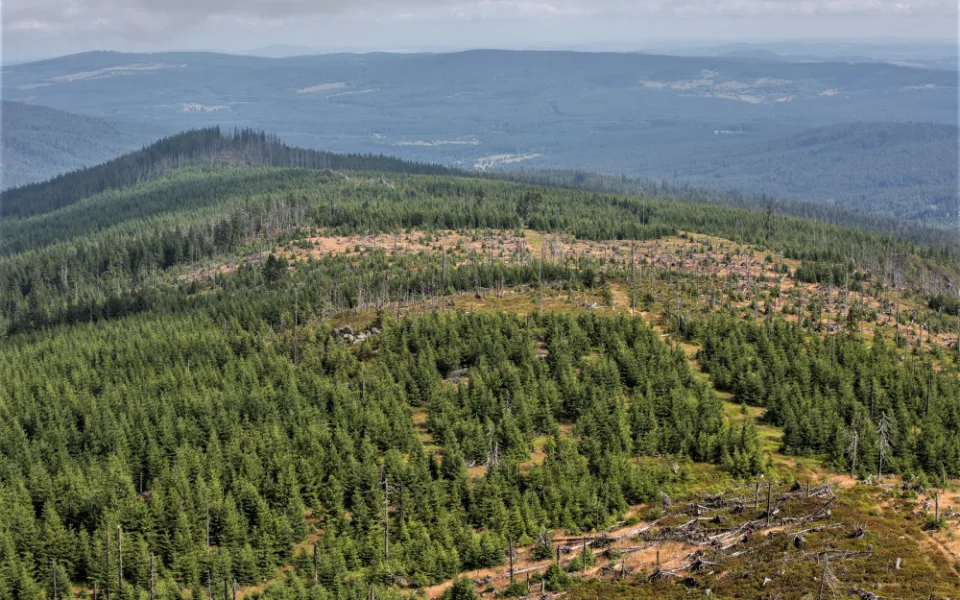NP Šumava