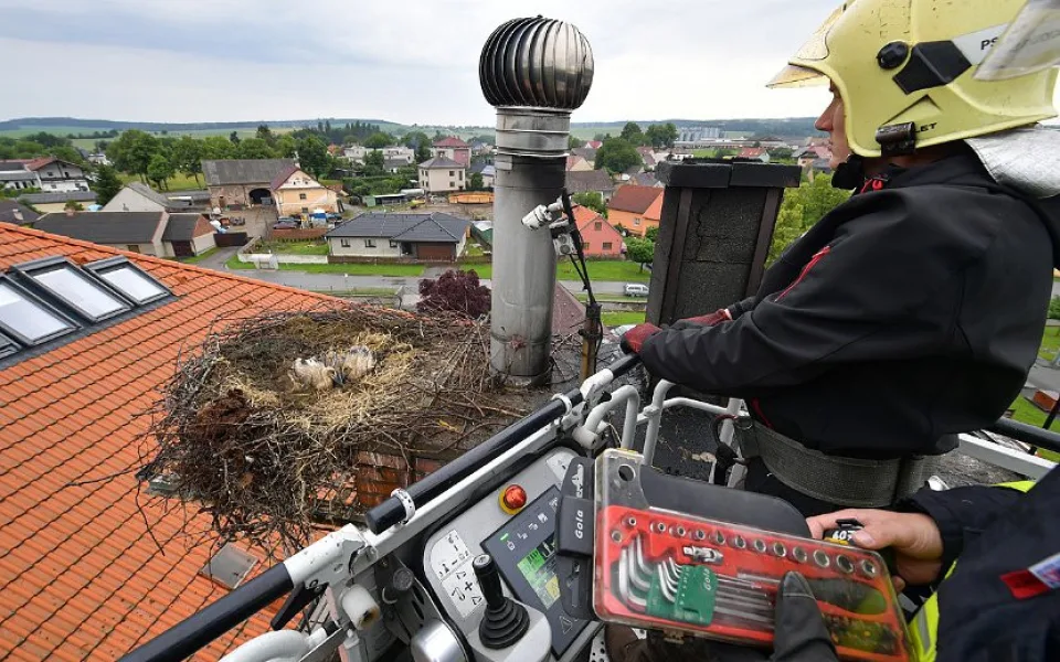 Čápům napršelo do hnízda a hrozilo, že se mláďata utopí