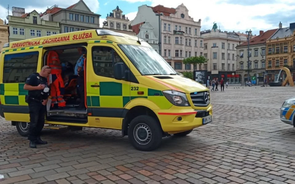 Chtěl napadnout policistku, skončil s rozbitou hlavou