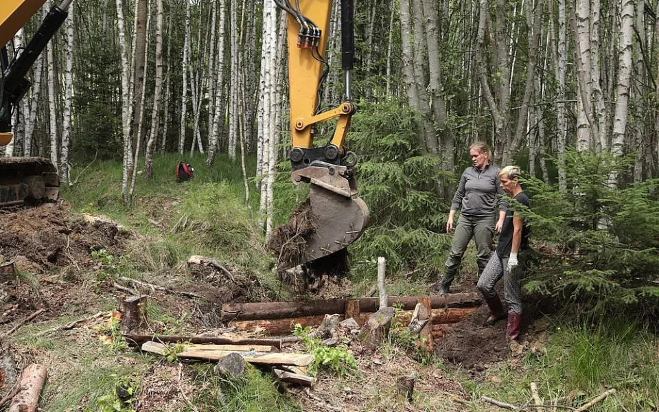 Nový šumavský projekt navrátí vodu do vysušených mokřadů a pramenišť