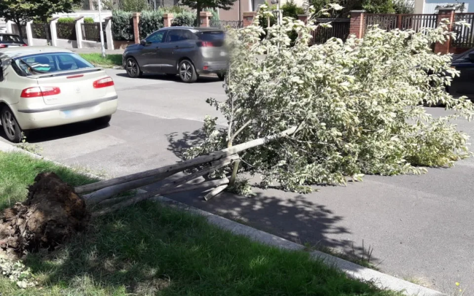 Hasiče v celém kraji potrápil silný vítr, mají za sebou už desítky výjezdů