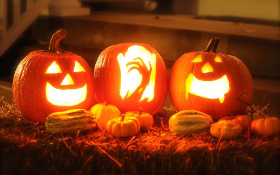 size4-1604057715535-241-pumpkin-2327488-1280