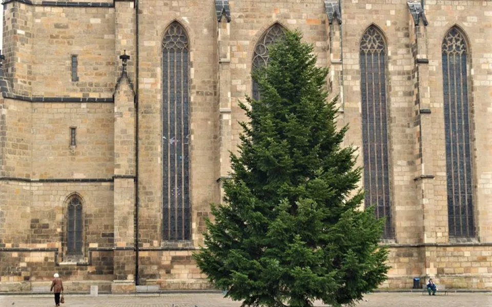 Vánoční jedle už stojí na svém místě a čeká na ozdobení