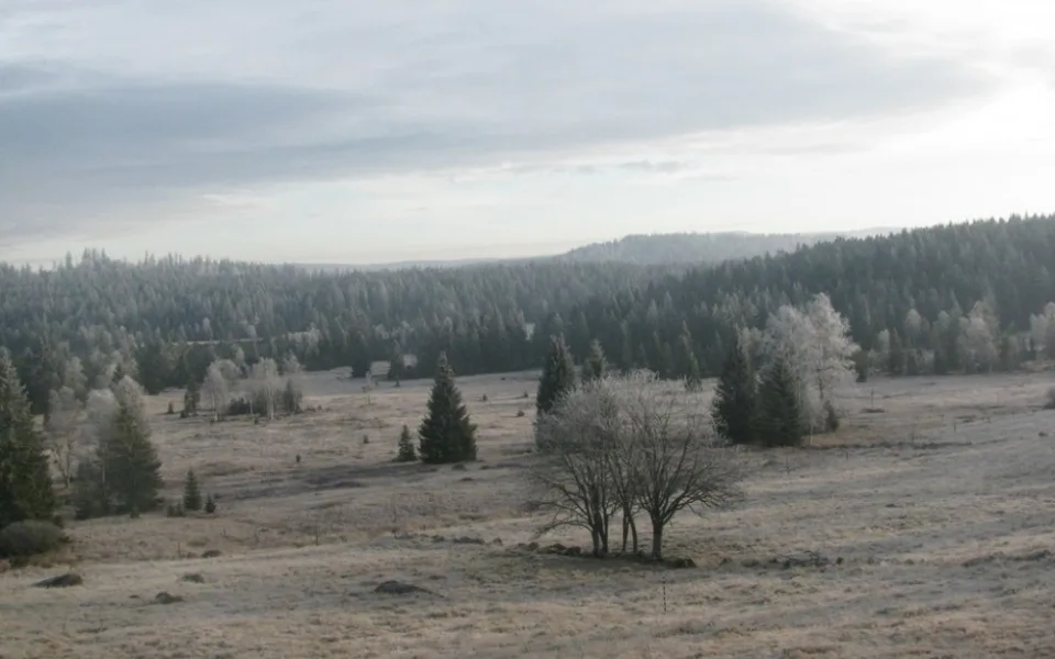 Knížecí Pláně, Šumava