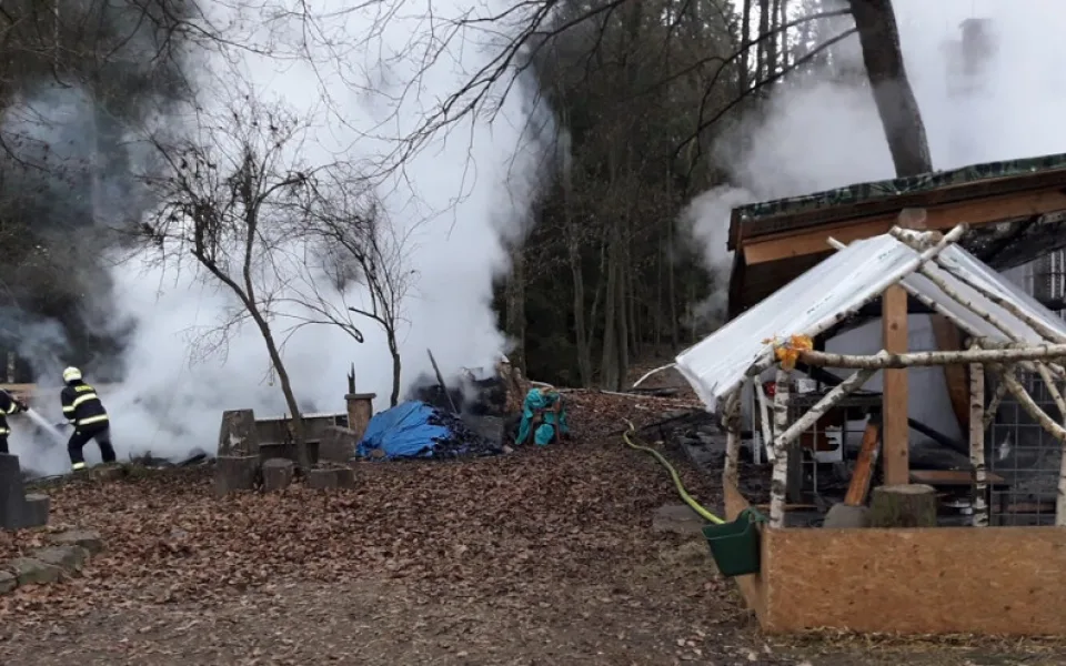 V chatce, kterou pohltily plameny uhořeli dva psi